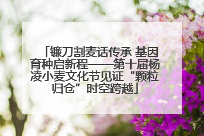 镰刀割麦话传承 基因育种启新程——第十届杨凌小麦文化节见证“颗粒归仓”时空跨越